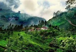 Coorg tour packages from Mettupalayam