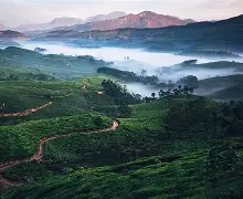 Munnar tour packages from Mettupalayam