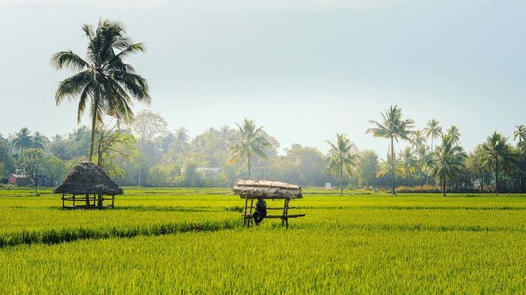 Palakkad tour packages from Mettupalayam