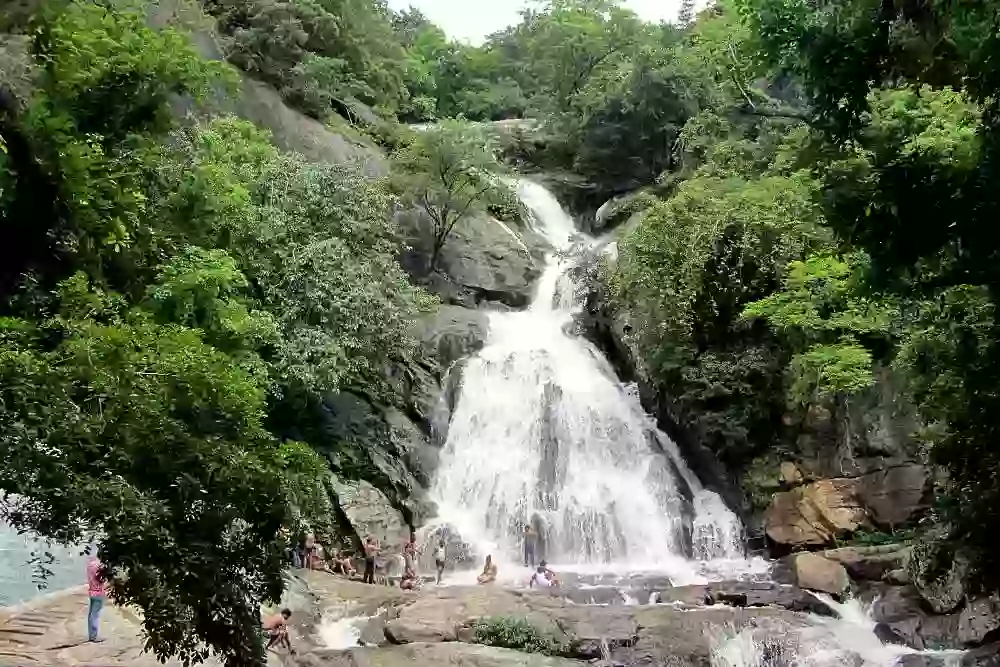 Pollachi tour packages from Mettupalayam