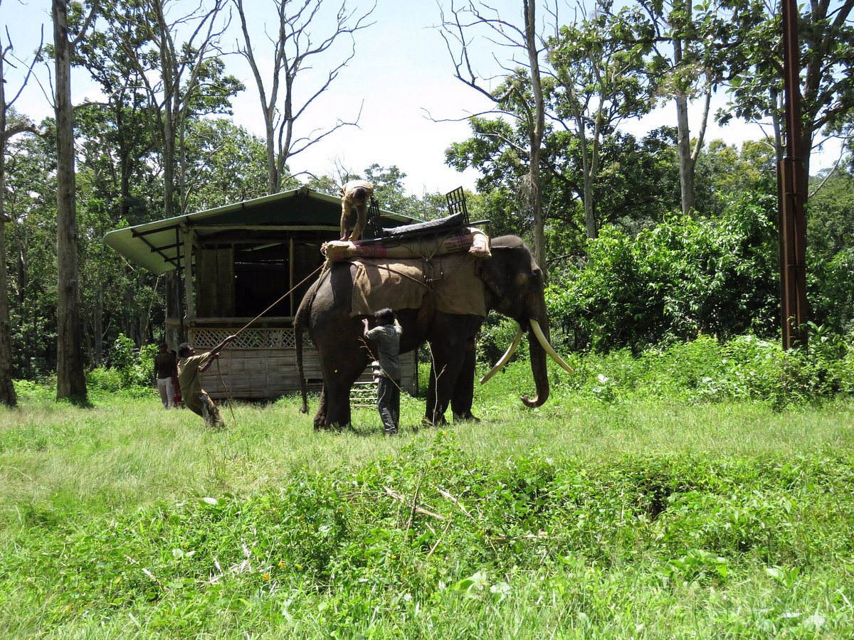 Topslip tour packages from Mettupalayam